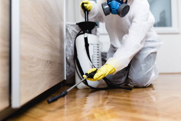 Best Pest Control Near Me in Port Jefferson, NY