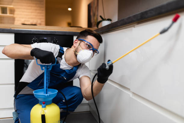Best Termite Control Services  in Port Jefferson, NY