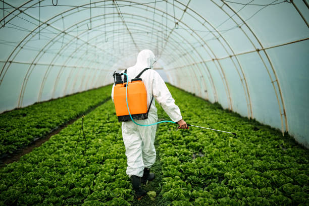 Best Mosquito Control Services  in Port Jefferson, NY