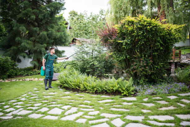 Best Exterminator Services  in Port Jefferson, NY