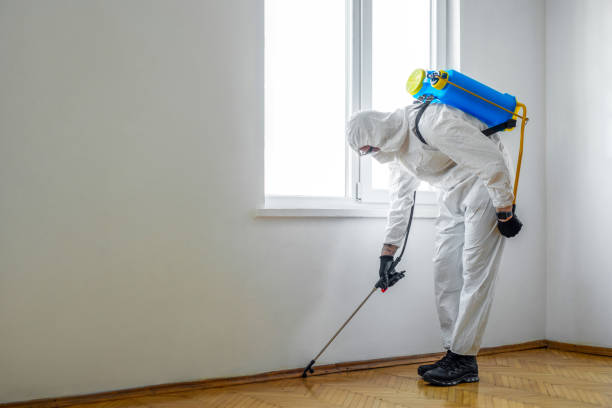 Reliable Port Jefferson, NY Pest Control Solutions