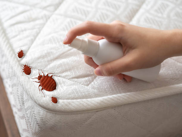 Best Pest Prevention Services  in Port Jefferson, NY