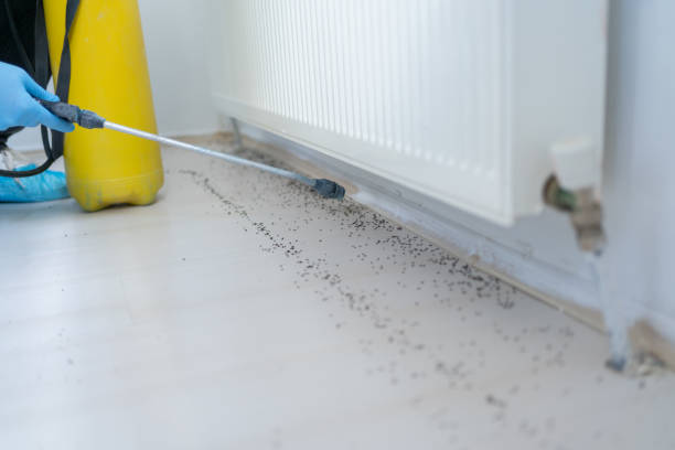 Pest Control Cost in Port Jefferson, NY