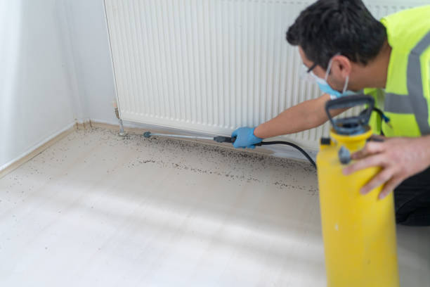 Best Best Pest Control Companies  in Port Jefferson, NY