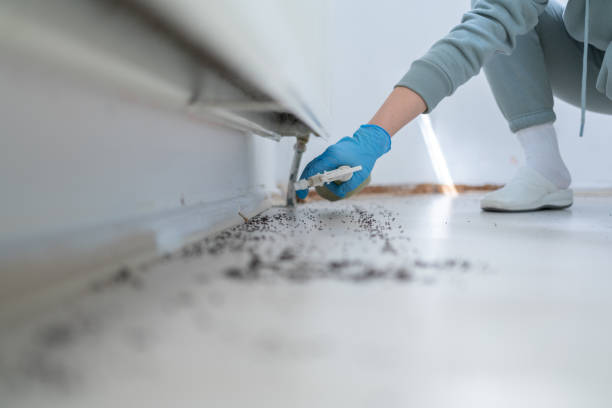 Wildlife Control Services in Port Jefferson, NY